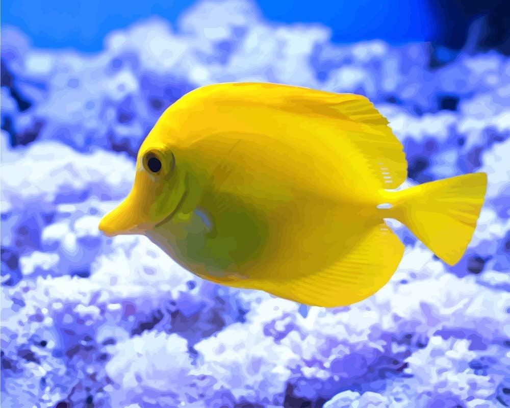 Malen nach Zahlen   Malen nach Zahlen   Zebrasoma gelb