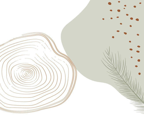 Malen nach Zahlen - Malen nach Zahlen - Wilder Wald 5