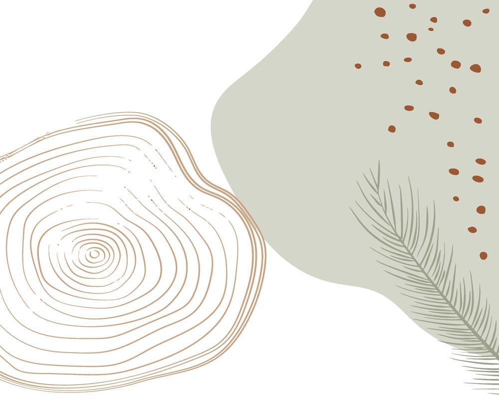 Malen nach Zahlen   Malen nach Zahlen   Wilder Wald 5