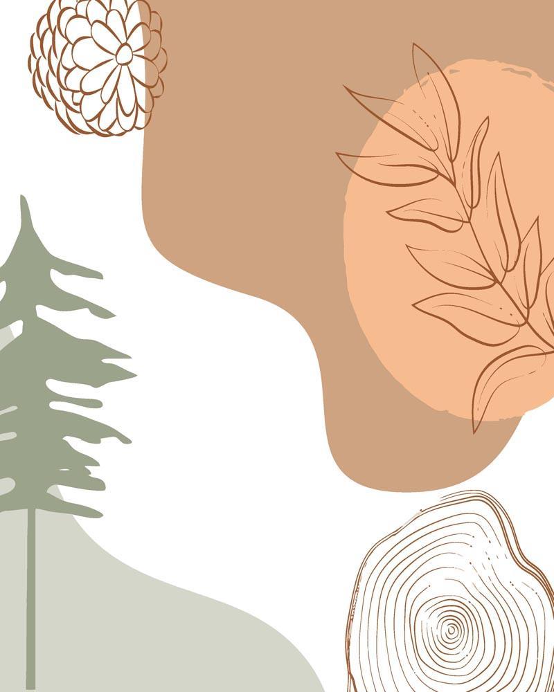 Malen nach Zahlen   Malen nach Zahlen   Wilder Wald 12