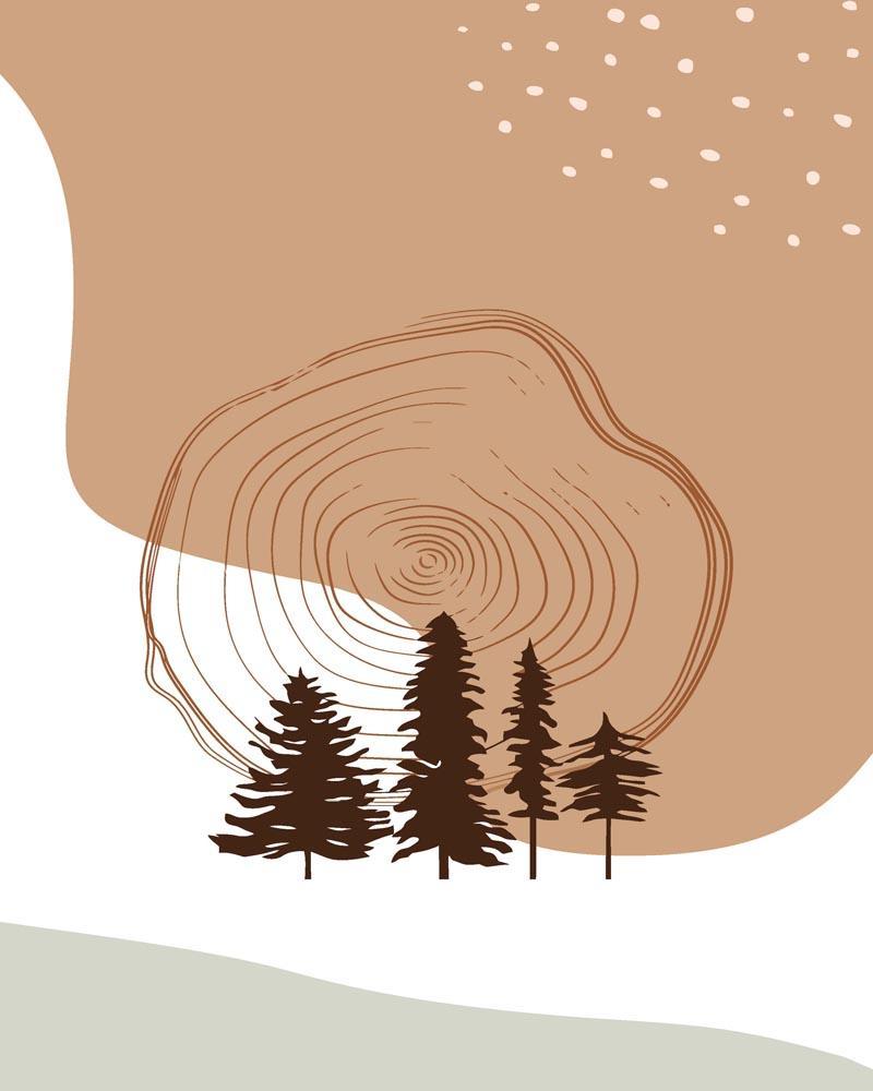 Malen nach Zahlen   Malen nach Zahlen   Wilder Wald 16