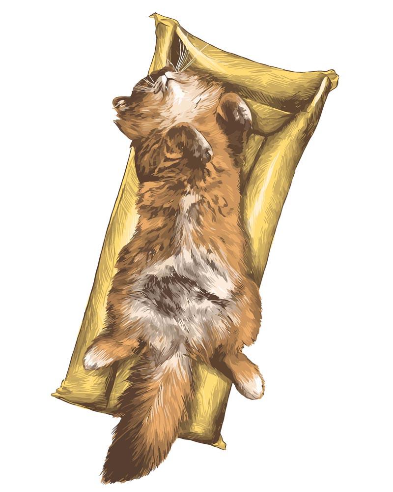 Malen nach Zahlen   Malen nach Zahlen   Katze auf der Matratze