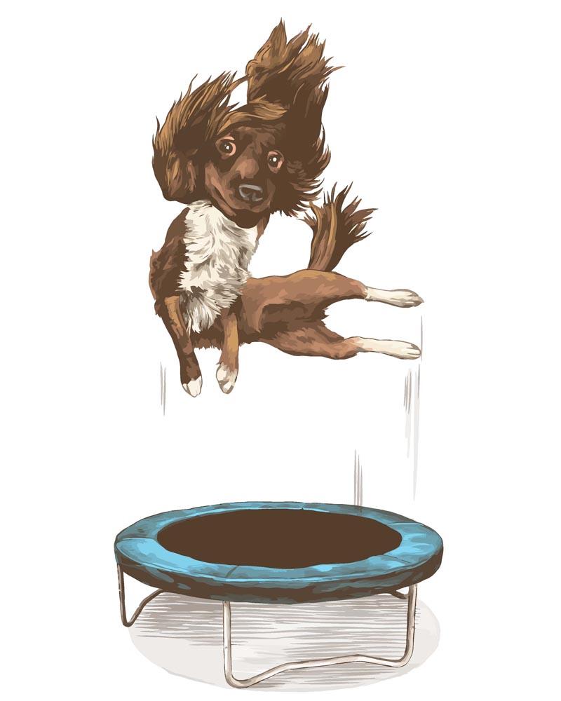 Malen nach Zahlen   Malen nach Zahlen   Hund auf dem Trampolin