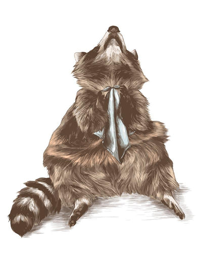 Malen nach Zahlen - Malen nach Zahlen - Waschbär mit Krawatte