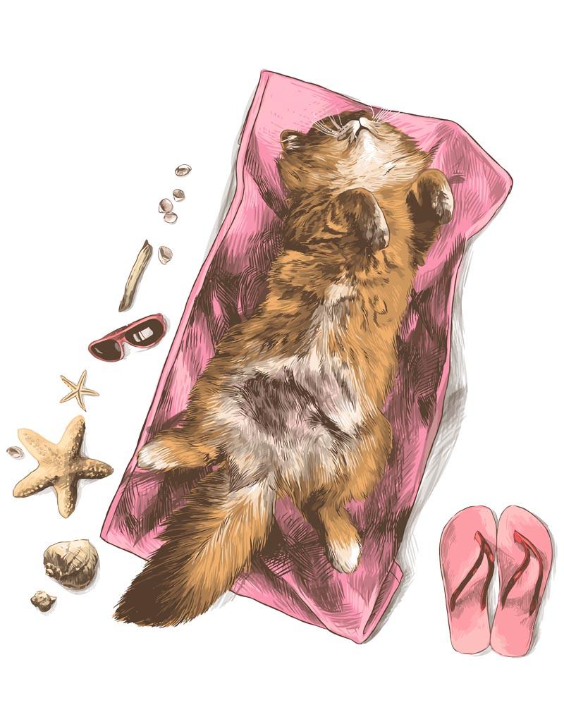 Malen nach Zahlen   Malen nach Zahlen   Katze am Strand