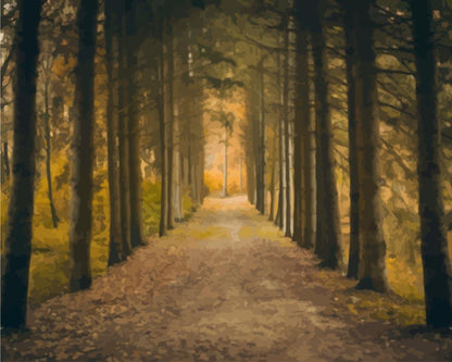 Malen nach Zahlen - Malen nach Zahlen - Herbst Perspektive im Wald