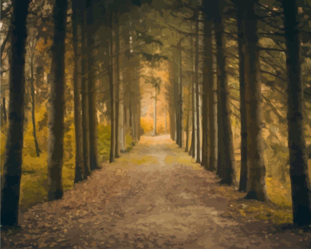 Malen nach Zahlen   Malen nach Zahlen   Herbst Perspektive im Wald