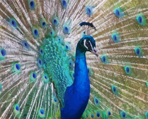 Malen nach Zahlen - Malen nach Zahlen - Pfau Nahaufnahme