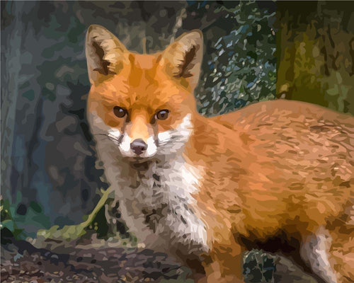 Malen nach Zahlen - Malen nach Zahlen - Der Fuchs