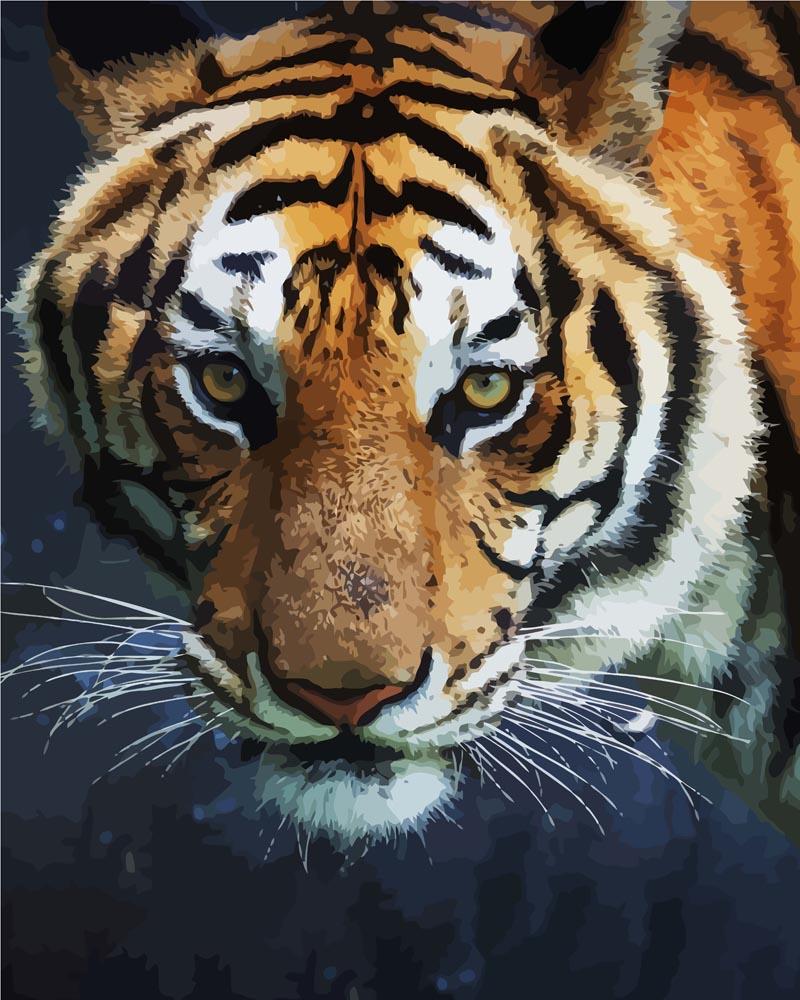 Malen nach Zahlen   Malen nach Zahlen   Gefährlicher Tiger