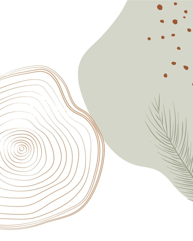 Malen nach Zahlen   Malen nach Zahlen   Wilder Wald 36