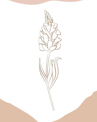 Malen nach Zahlen - Malen nach Zahlen - Wilder Wald 41