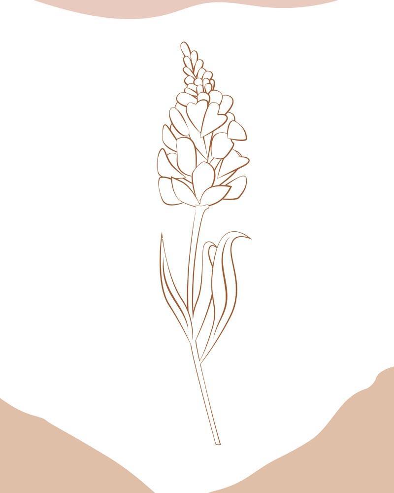 Malen nach Zahlen   Malen nach Zahlen   Wilder Wald 41