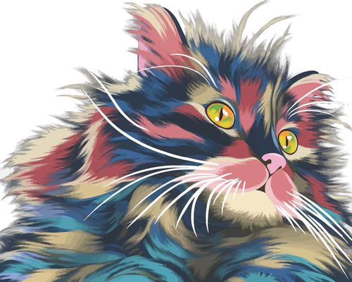Malen nach Zahlen - Malen nach Zahlen - Erstaunte Katze