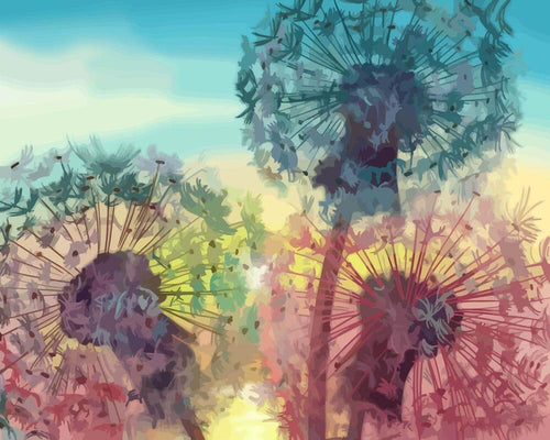 Malen nach Zahlen - Malen nach Zahlen - Pusteblumen Sonnenuntergang