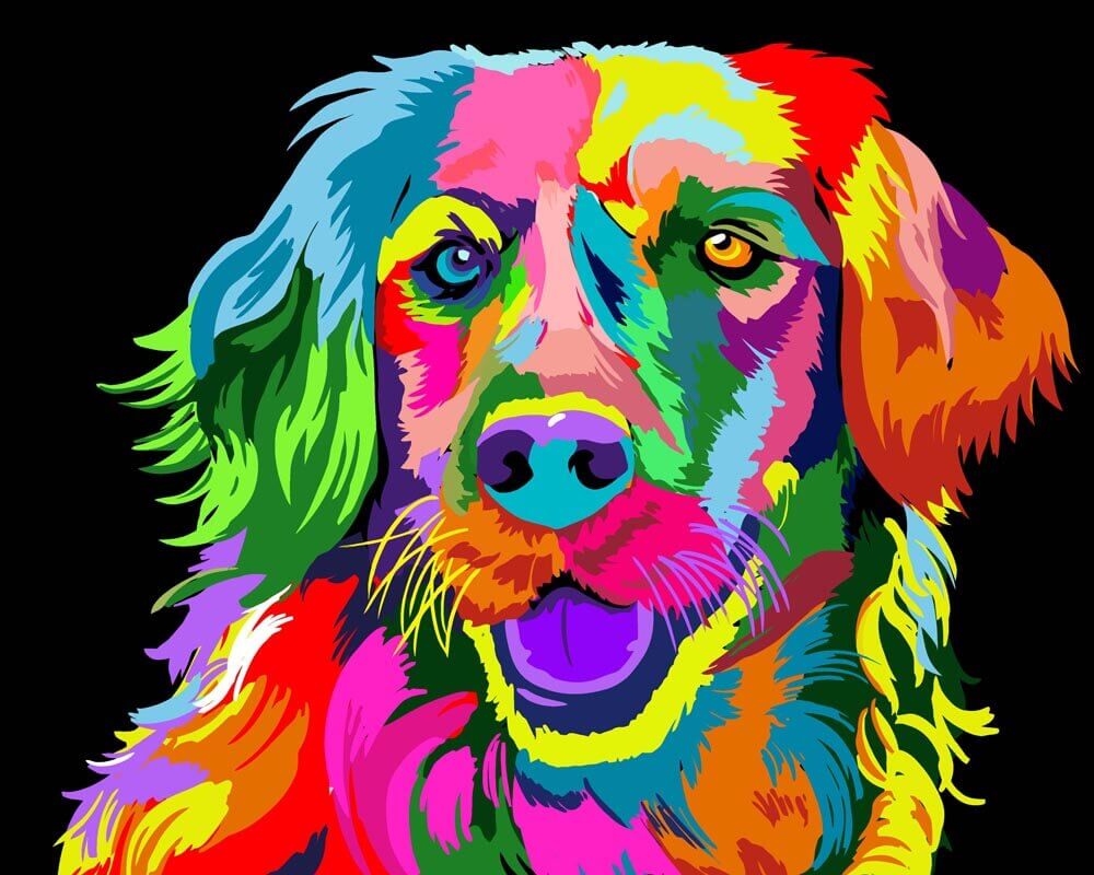 Malen nach Zahlen   Malen nach Zahlen   Neon Hund Portrait