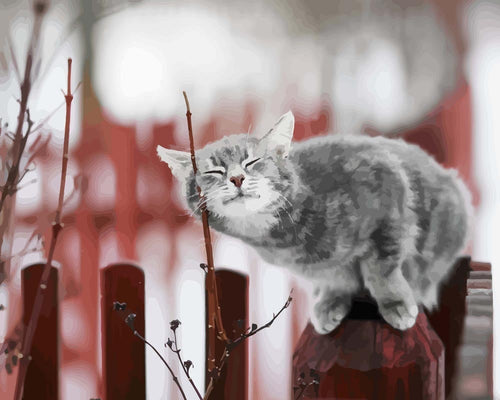 Malen nach Zahlen - Malen nach Zahlen - Katze auf dem Zaun