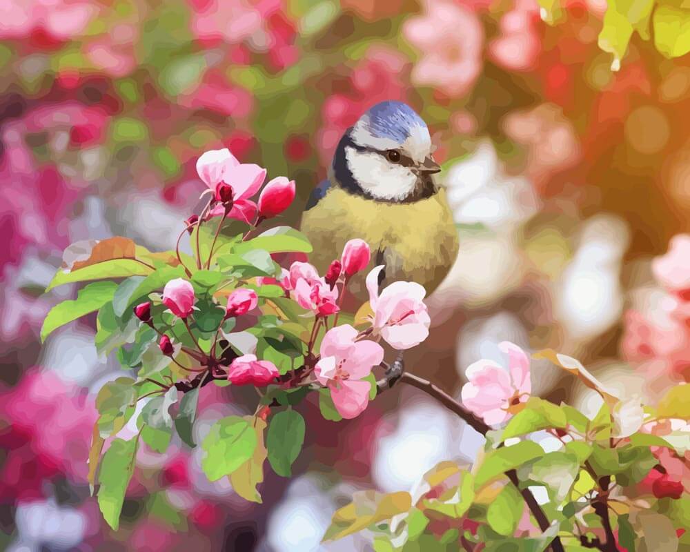 Malen nach Zahlen   Malen nach Zahlen   Vogel im Frühling