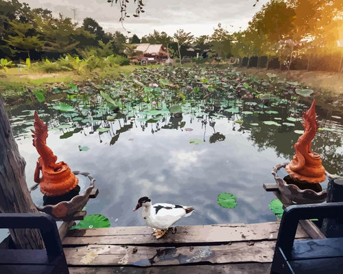 Malen nach Zahlen - Malen nach Zahlen - Enten am Teich in Thailand
