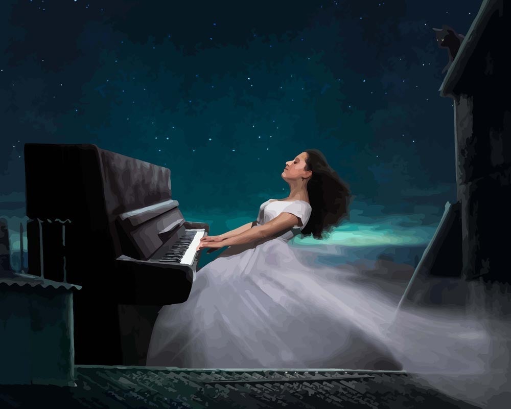 Malen nach Zahlen   Malen nach Zahlen   Frau musiziert auf dem Dach