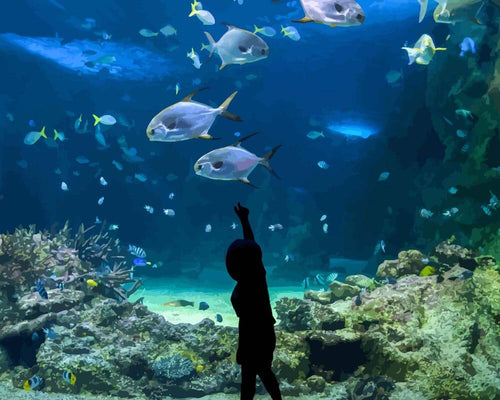 Malen nach Zahlen - Malen nach Zahlen - Glückliches Kind am Aquarium