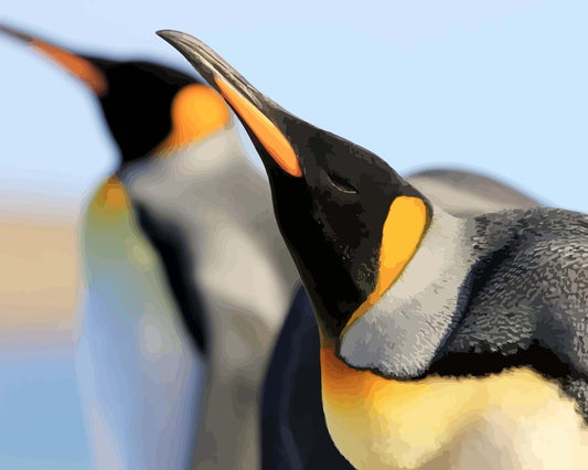 Malen nach Zahlen - Malen nach Zahlen - Königspinguine
