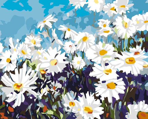 Malen nach Zahlen - Malen nach Zahlen - Gänseblumenfeld