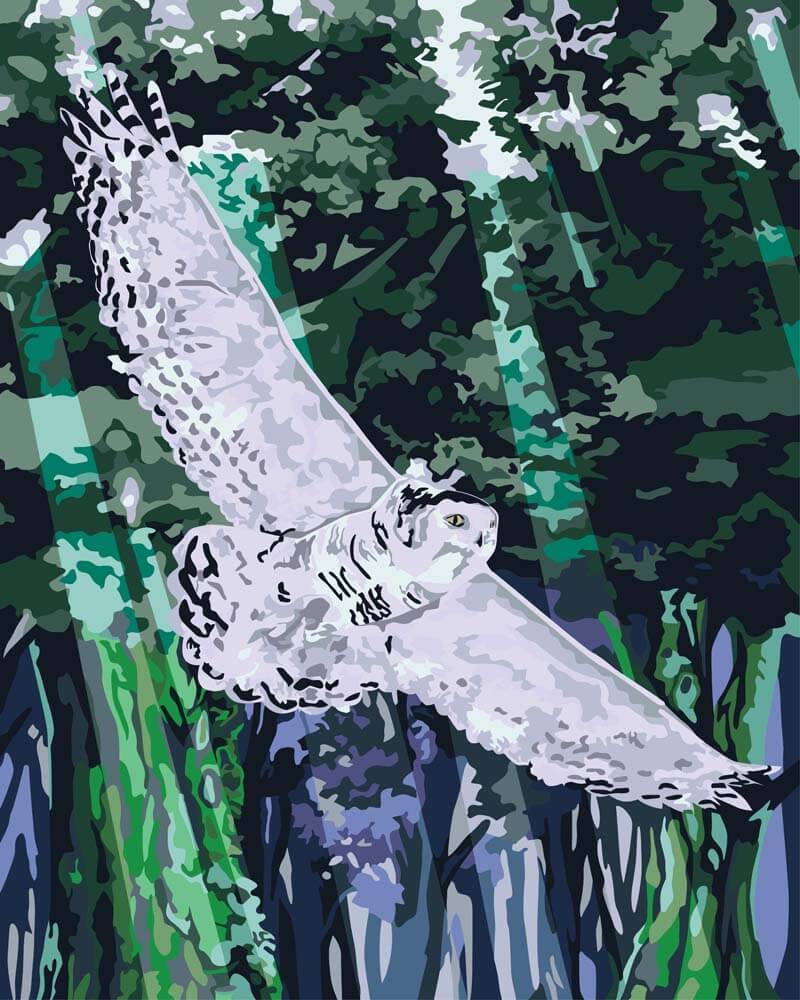 Malen nach Zahlen   Malen nach Zahlen   Eule im Anflug