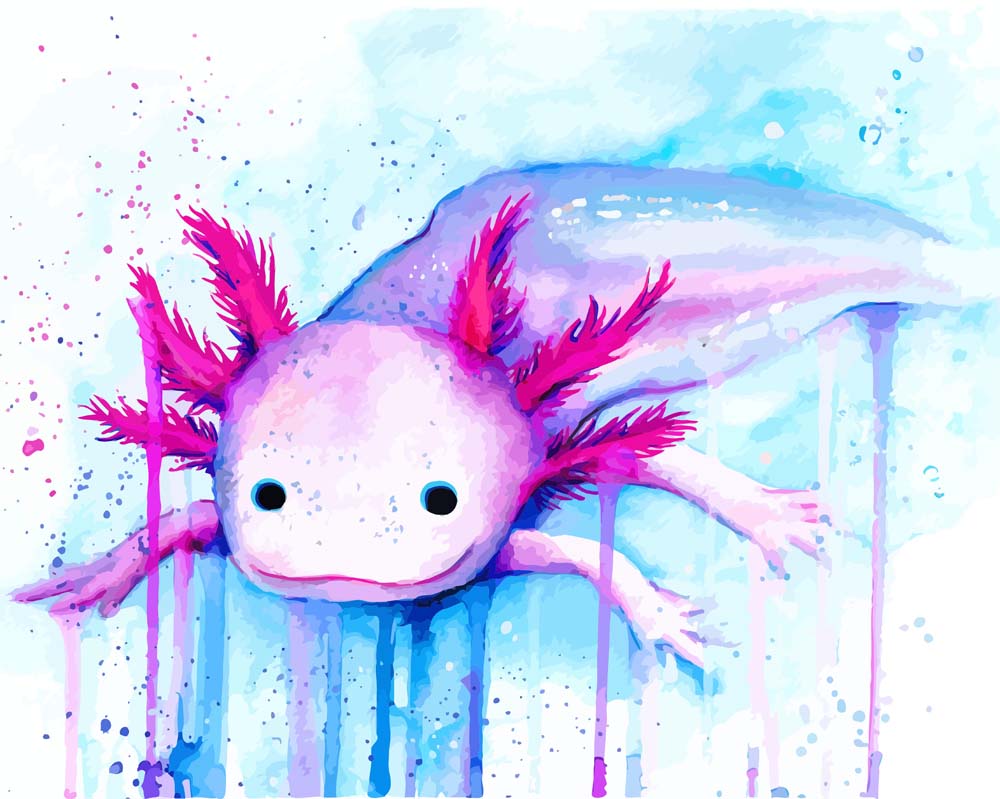 Malen nach Zahlen - Malen nach Zahlen - Axolotl - by Tiny Tami