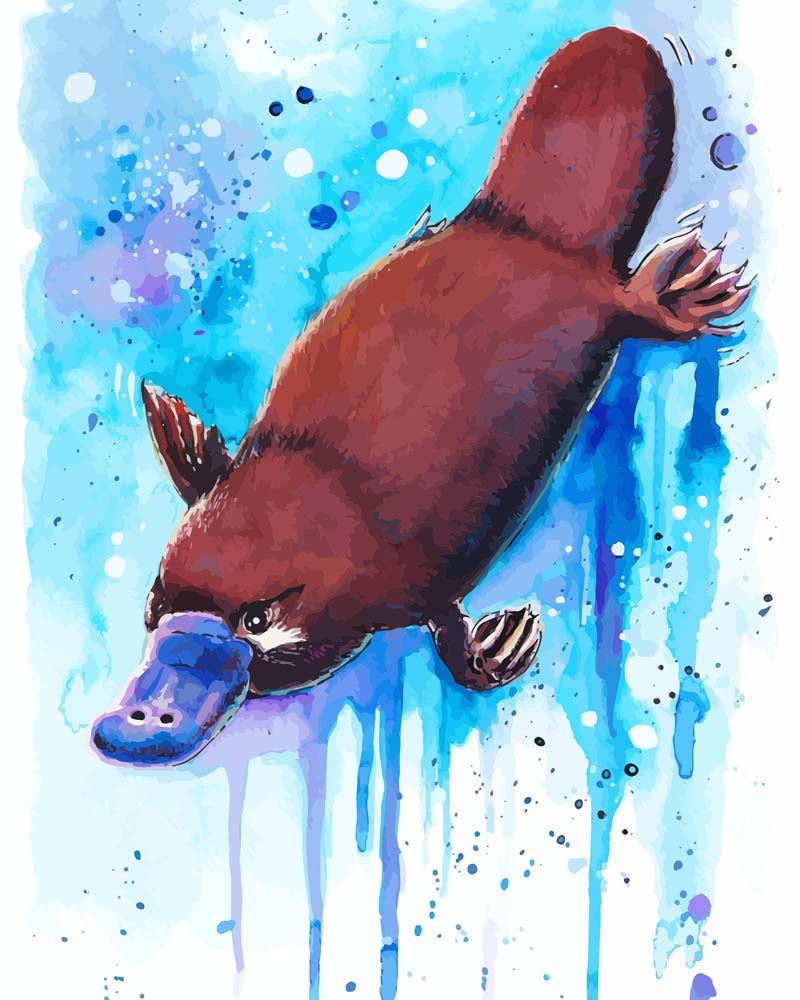 Malen nach Zahlen   Malen nach Zahlen   Schnabeltier   by Tiny Tami