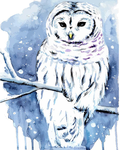 Malen nach Zahlen - Malen nach Zahlen - Streifenkauz - by Tiny Tami