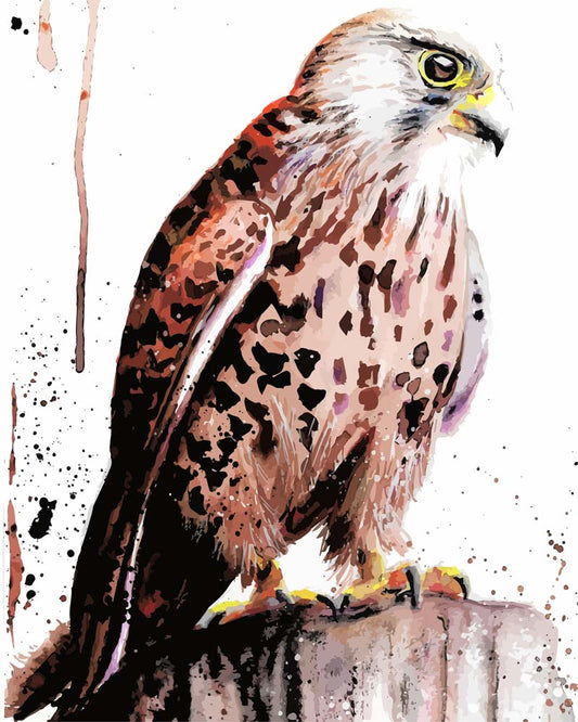 Malen nach Zahlen - Malen nach Zahlen - Turmfalke - by Tiny Tami