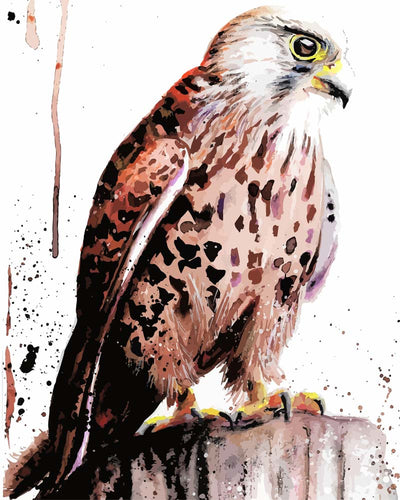Malen nach Zahlen - Malen nach Zahlen - Turmfalke - by Tiny Tami