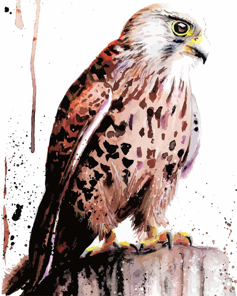 Malen nach Zahlen   Malen nach Zahlen   Turmfalke   by Tiny Tami