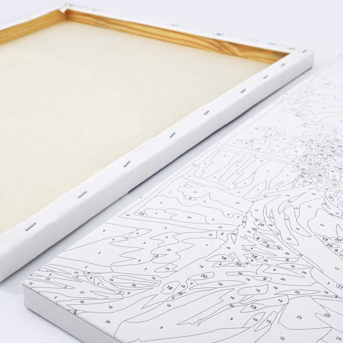 DIY-Malen-nach-Zahlen-Rahmen-Leinwand-Vorn-Hinten