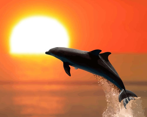 Malen nach Zahlen - Delphine bei Sonnenuntergang