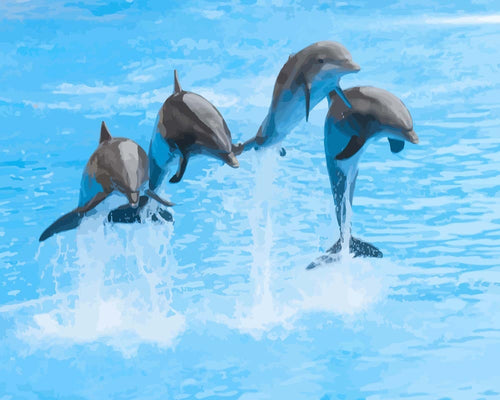 Malen nach Zahlen - Delphinfamilie
