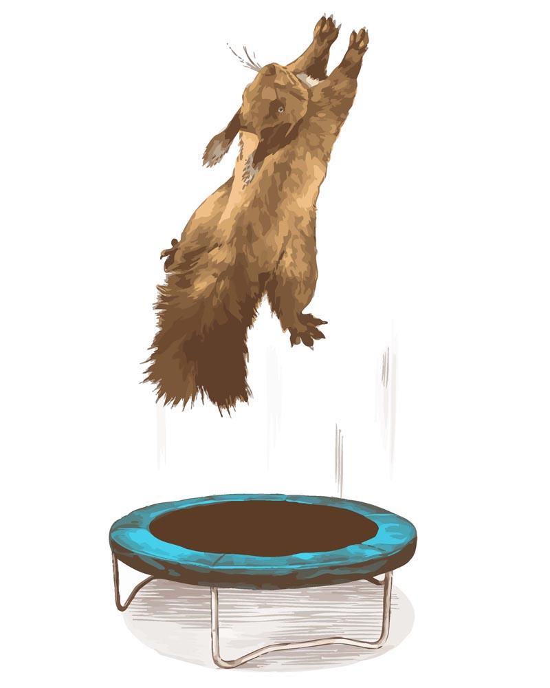 Malen nach Zahlen   Eichhörnchen auf dem Trampolin
