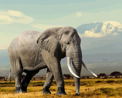 Malen nach Zahlen - Elefant in den Bergen