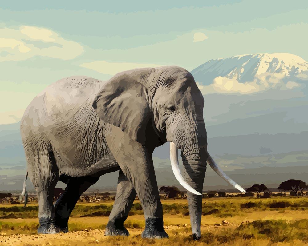 Malen nach Zahlen   Elefant in den Bergen