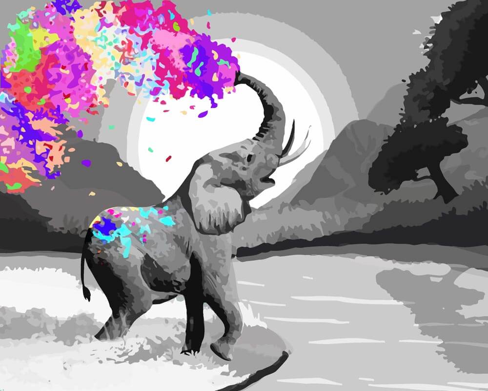 Malen nach Zahlen   Farbenfroher Elefant