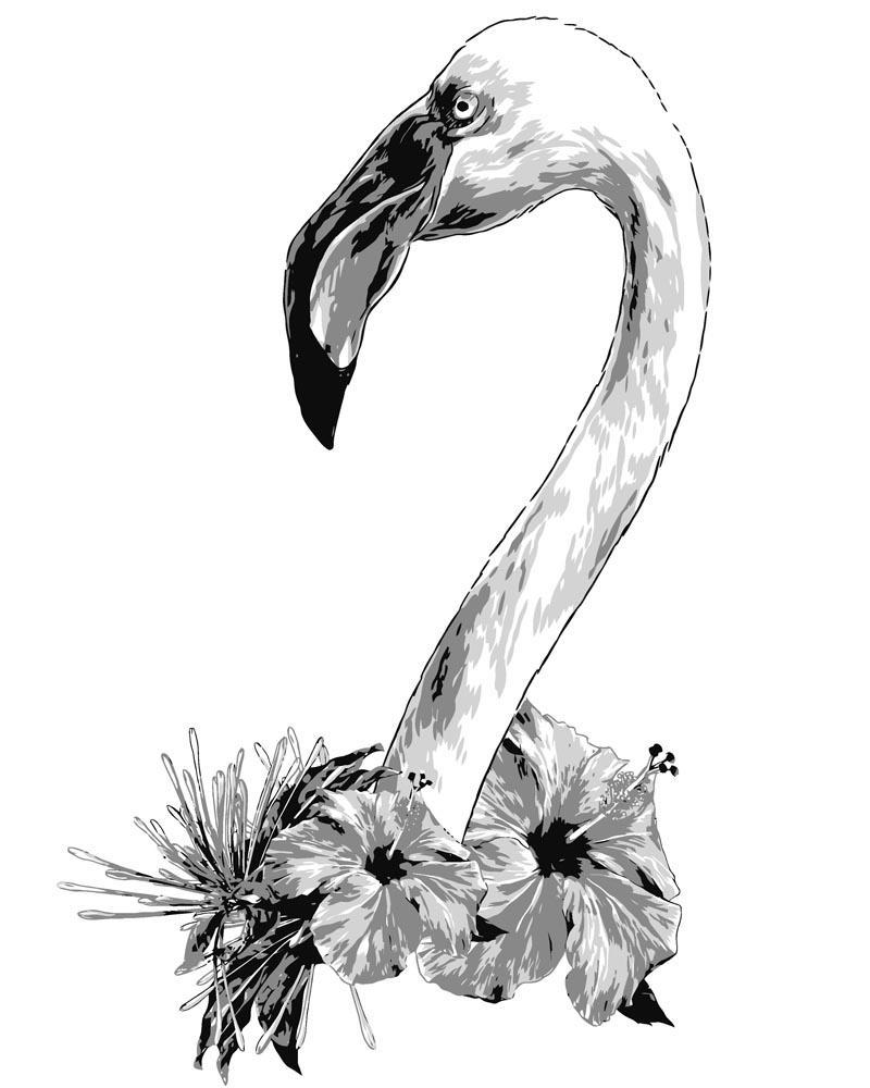 Malen nach Zahlen   Flamingo Kopf