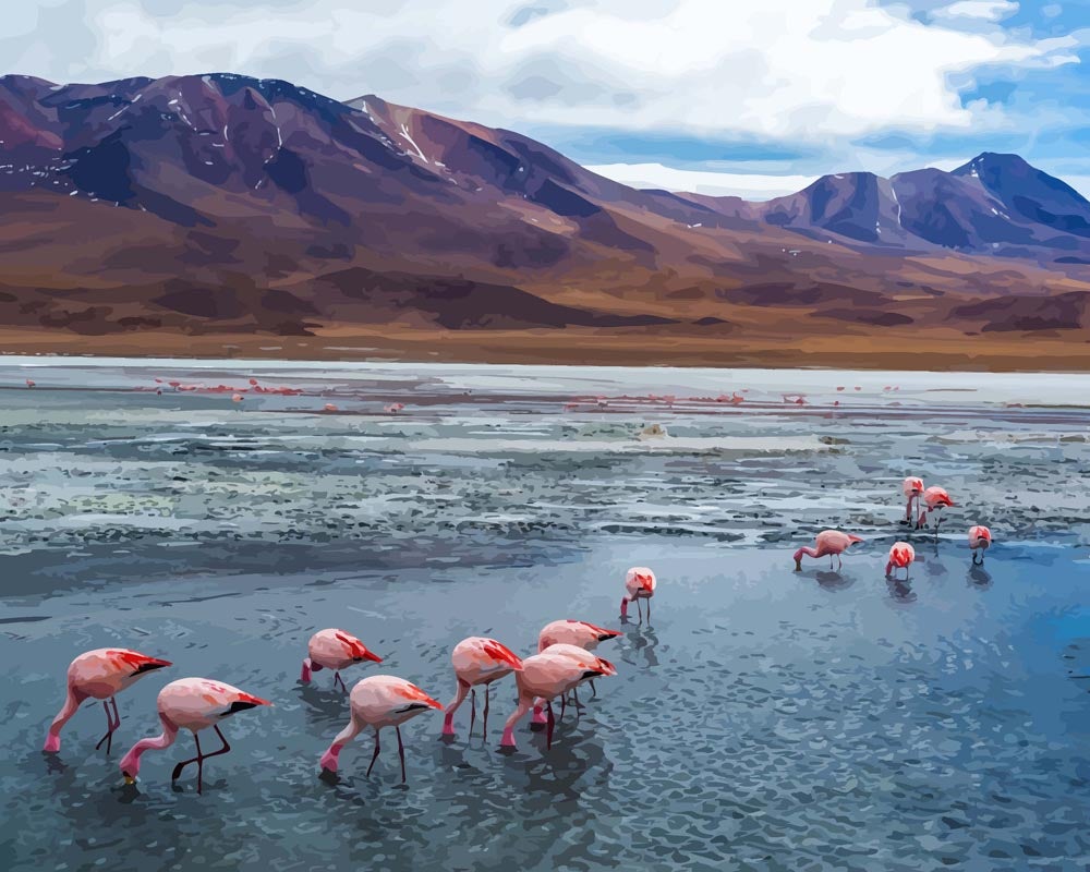 Malen nach Zahlen   Flamingos in Bolivien