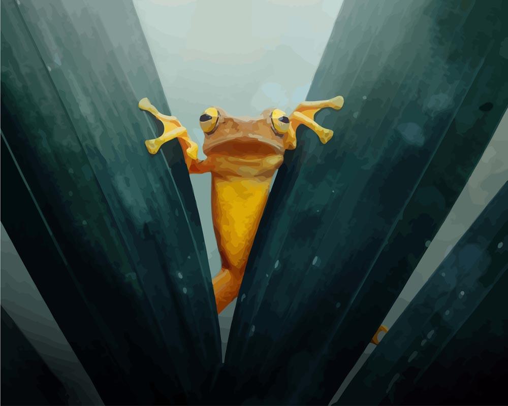Malen nach Zahlen   Frosch auf Blättern