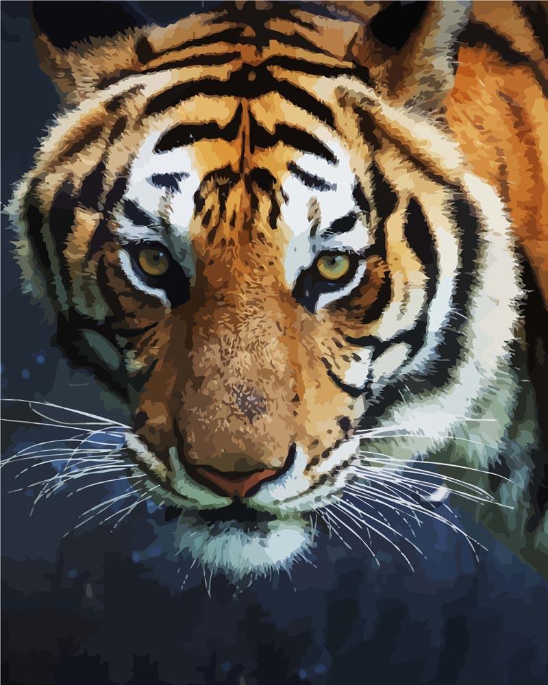 Malen nach Zahlen   Gefährlicher Tiger