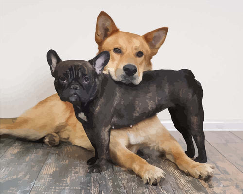 Malen nach Zahlen - Hundepaar