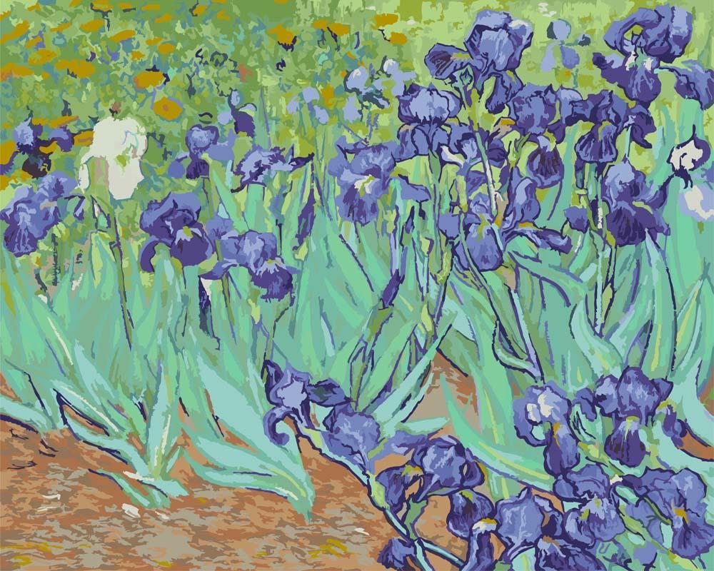Malen nach Zahlen   Irises   Vincent van Gogh