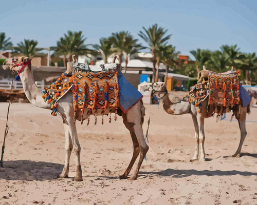 Malen nach Zahlen - Kamele in Ägypten