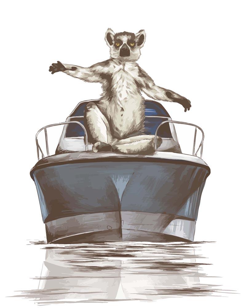 Malen nach Zahlen   Lemur auf dem Boot