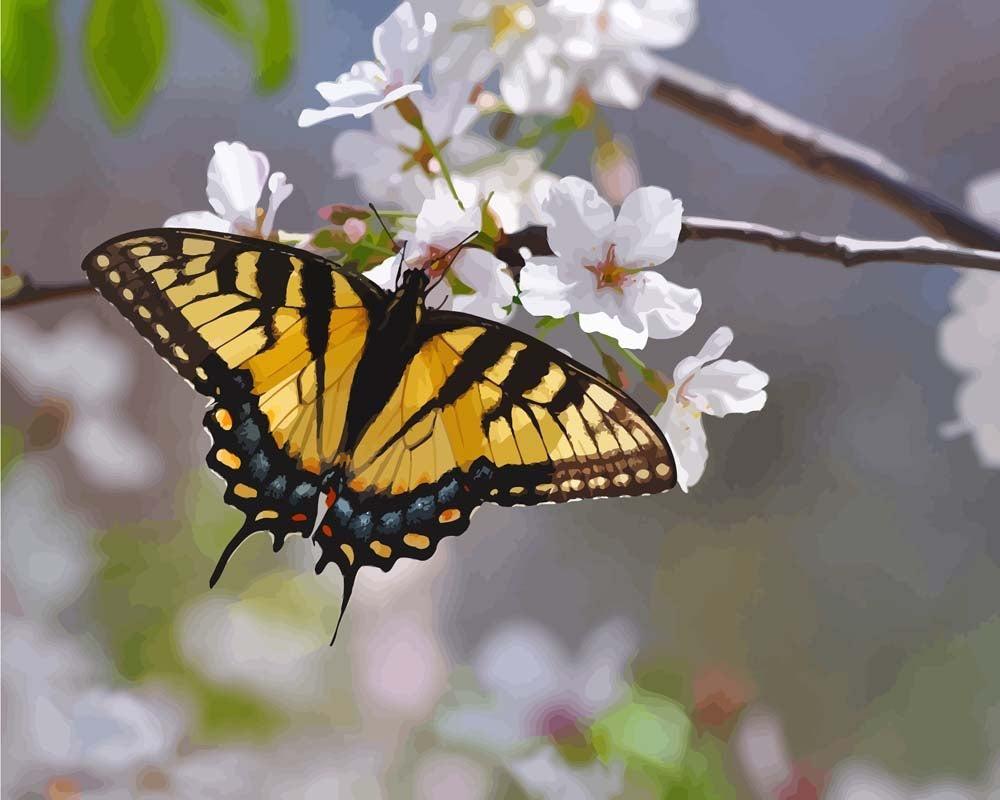 Malen nach Zahlen   Malen nach Zahlen   Monarch Schmetterling   Gelb